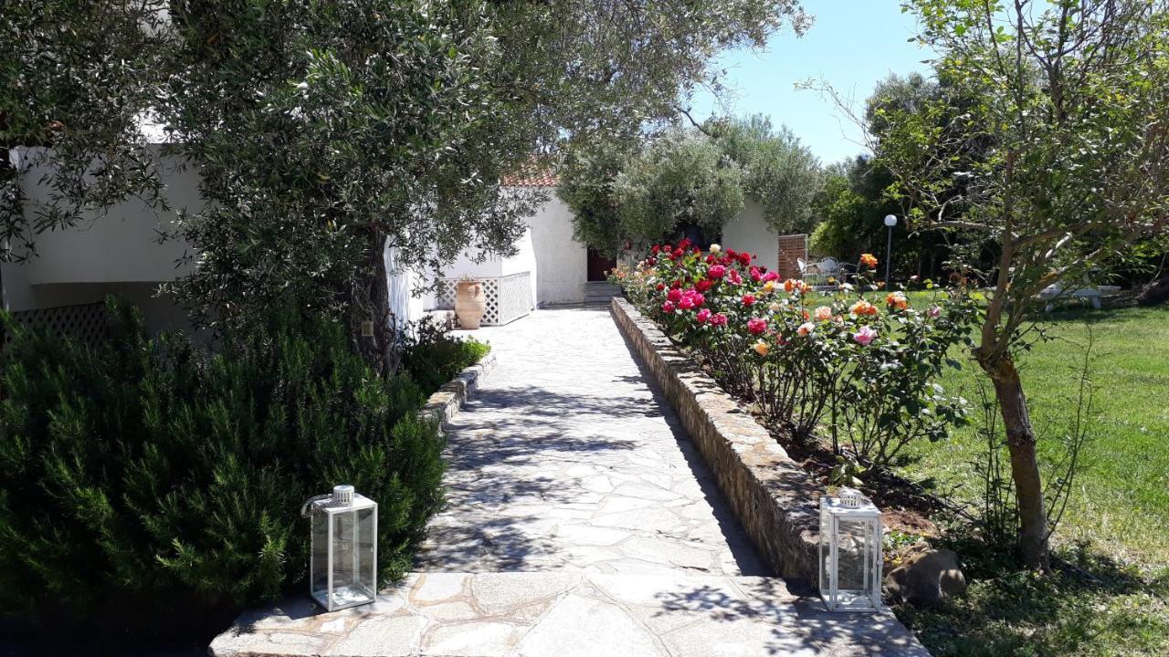 Апартаменты Marios Garden House Афитос Экстерьер фото