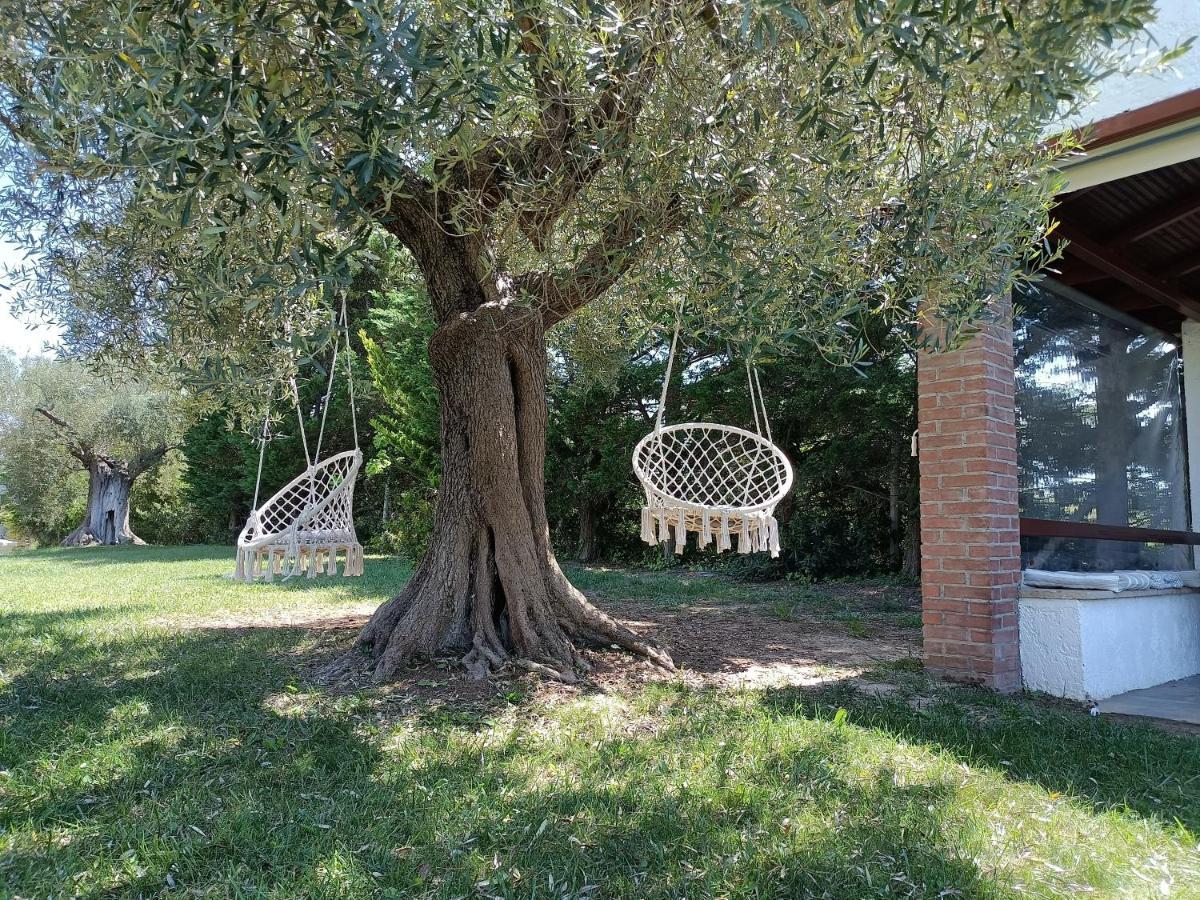 Апартаменты Marios Garden House Афитос Экстерьер фото