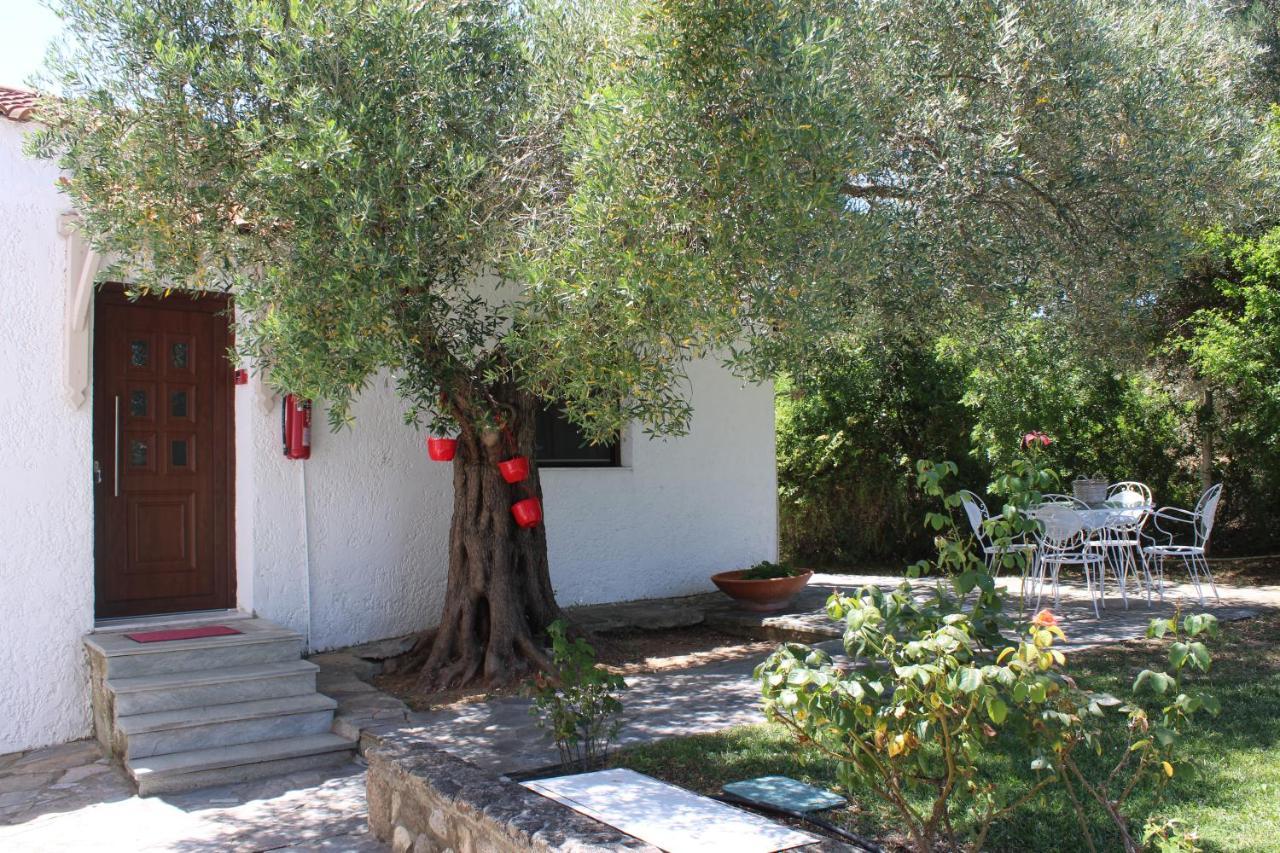 Апартаменты Marios Garden House Афитос Экстерьер фото